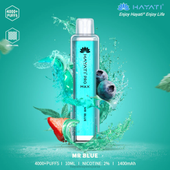 Hayati Pro Max desechable 20XX113 - Hayati Vape Liquid señor azul