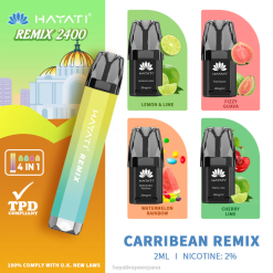 Hayati Remix sistema de cápsulas precargadas 2400 inhalaciones 20XX52 - Hayati Vape Flavours remezcla caribeña